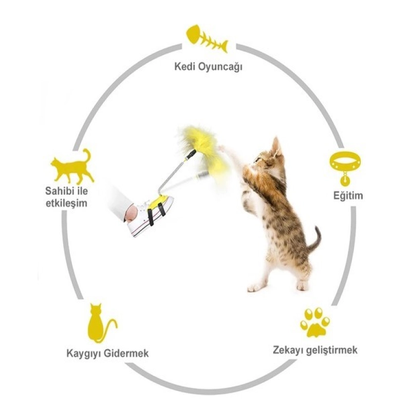 Ayağa Takılan Kedi Oyun Oltası