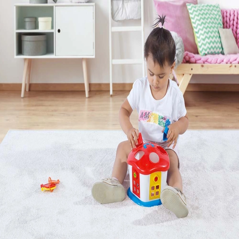 Dolu Sevimli Bultak Ev Kilitli Kapı