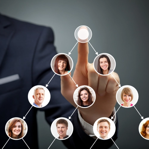Network Marketing Yazılımı 