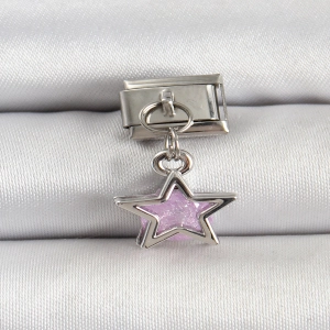 316L Çelik Gümüş Renk Pembe Taşlı Yıldız Model Nomination Charm